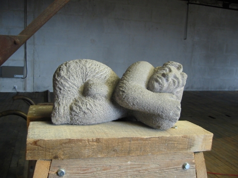 Faune Basalte