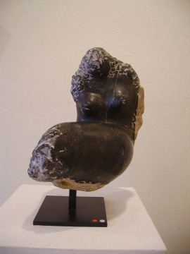 venus serpentine Zimbabwé 35cm